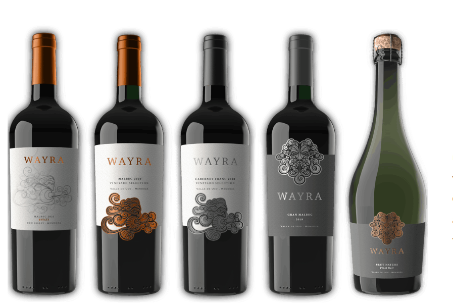 Calyptra Argentina: un legado vitivinícola de excelencia chilena 
