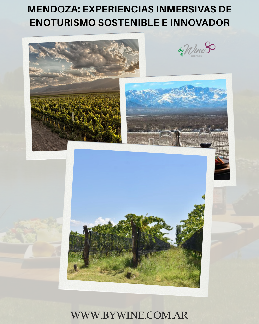 Mendoza: experiencias inmersivas de enoturismo sostenible e innovado 