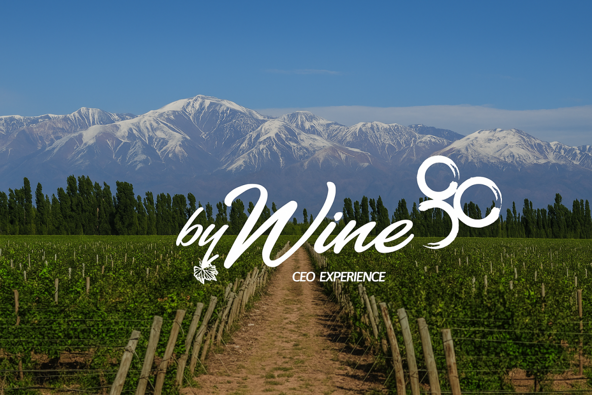 Del terroir al metaverso: así transforman los gemelos digitales la vivencia del vino 