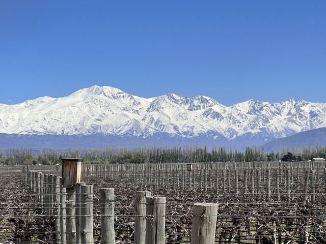 Un trabajo de la COVIAR confirma la expansión de bodegas abiertas al turismo. 
